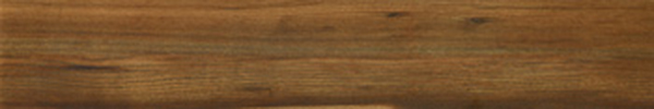 плитка, OLMO 2012, 20x120