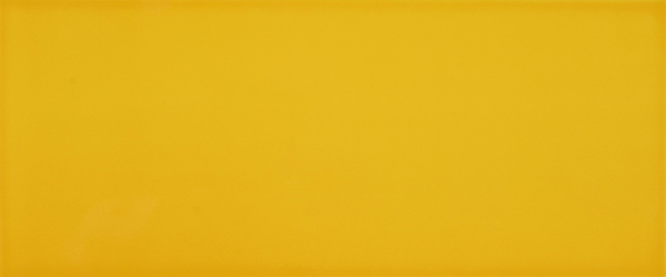 плитка, 655D3R YELLOW RETT., 25x60