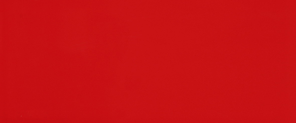 плитка, 655D2R RED RETT., 25x60